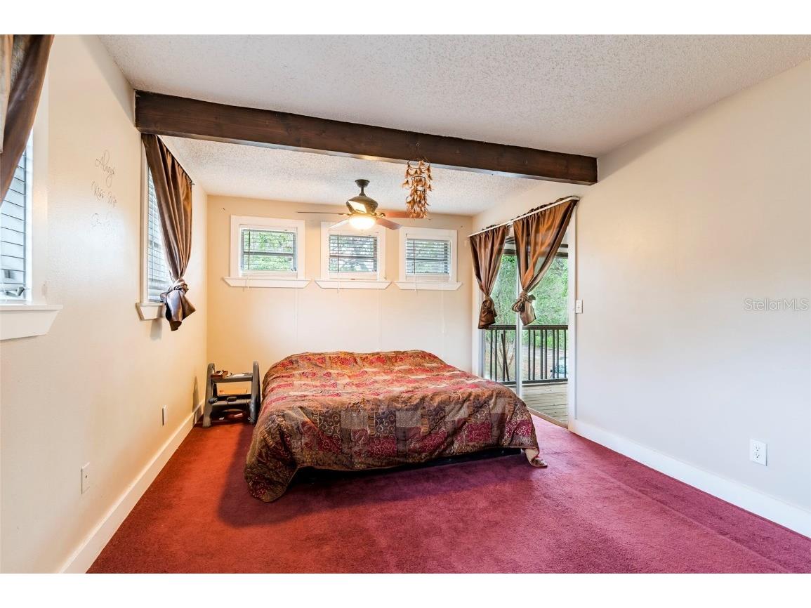 12311 Oakwood Drive Hudson FL 34669 TB8384501 image41