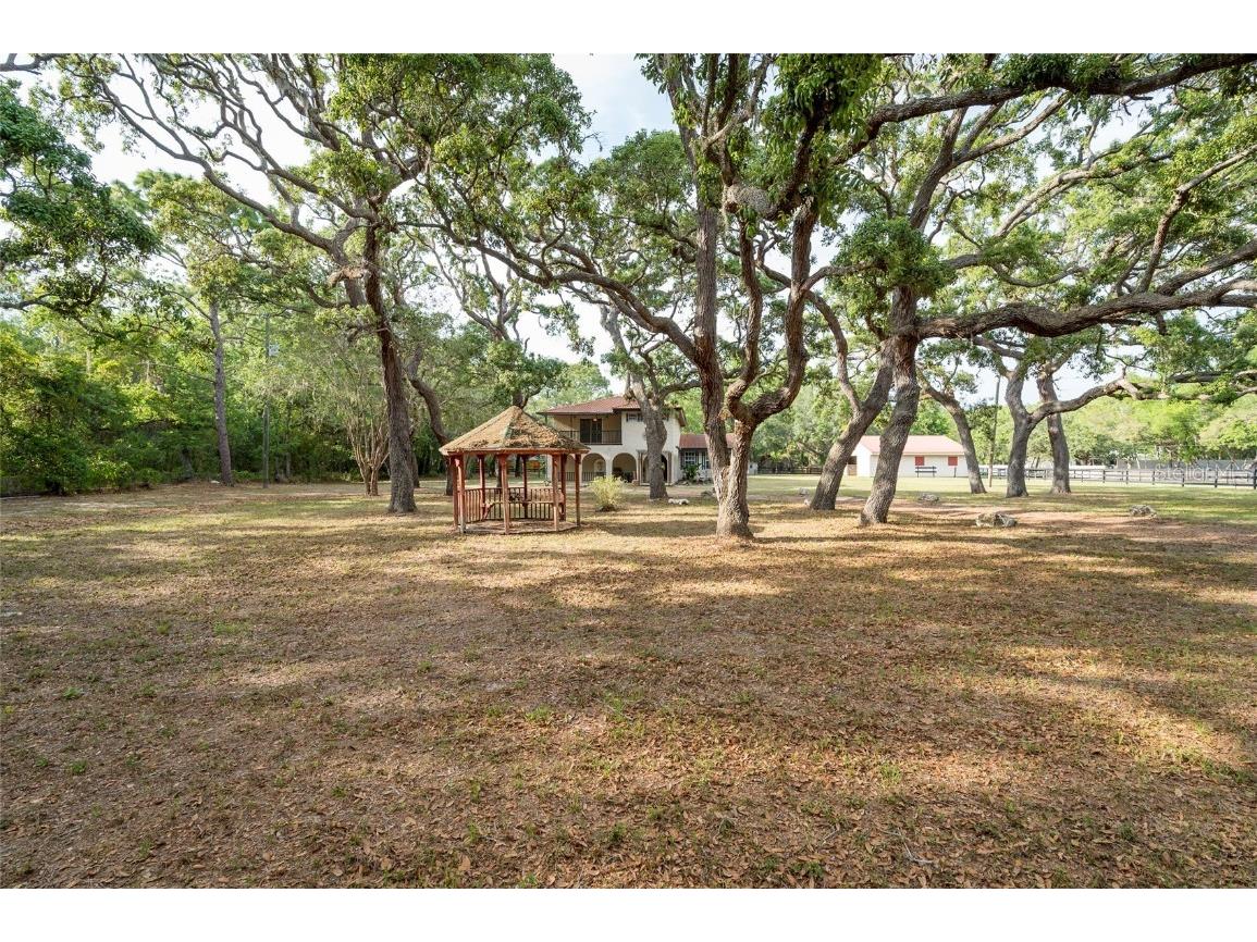 12311 Oakwood Drive Hudson FL 34669 TB8384501 image51