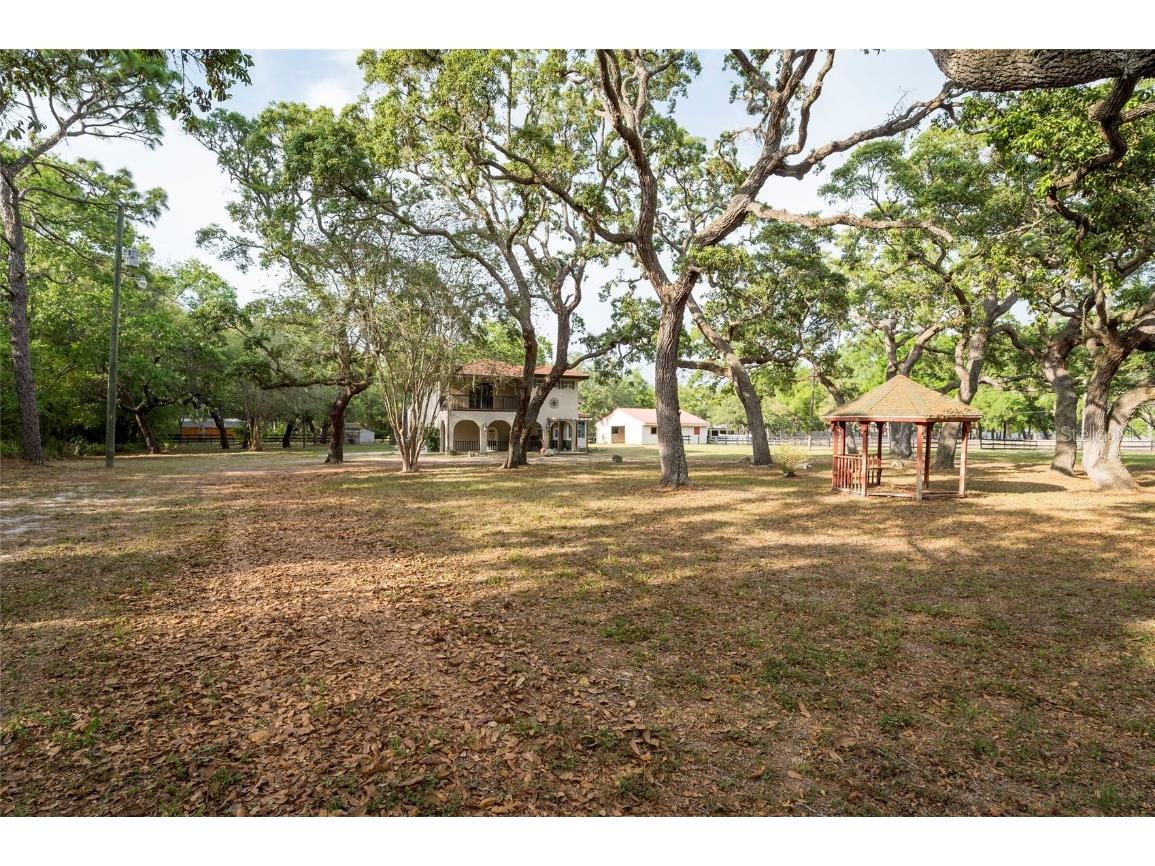 12311 Oakwood Drive Hudson FL 34669 TB8384501 image52