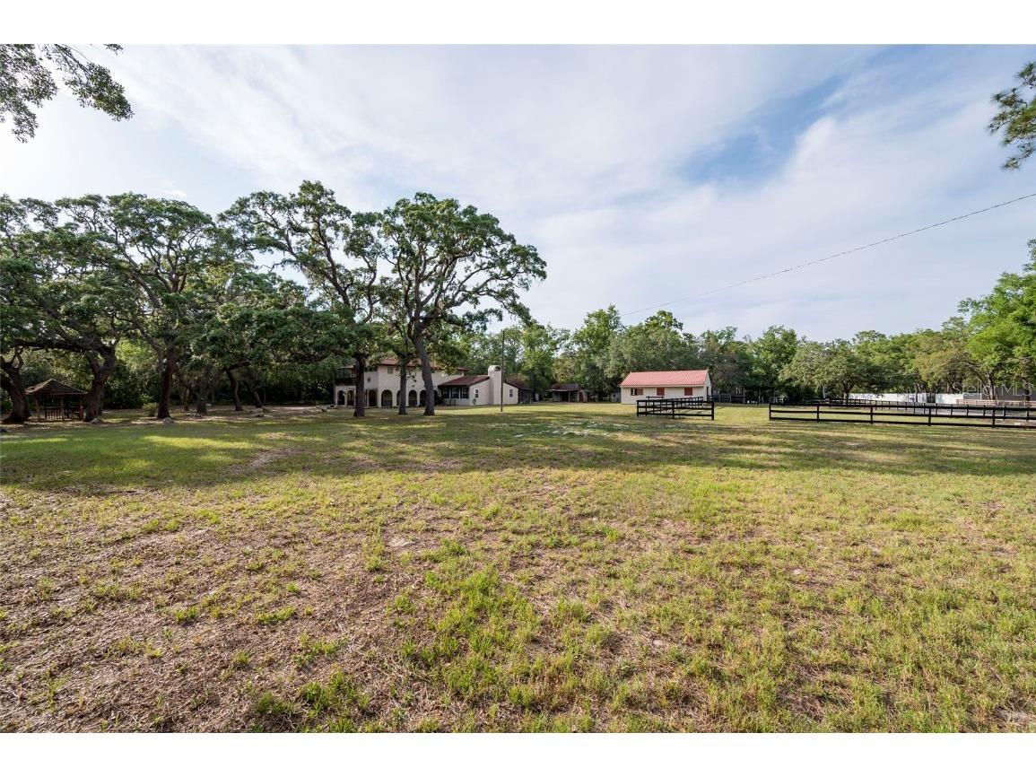 12311 Oakwood Drive Hudson FL 34669 TB8384501 image57