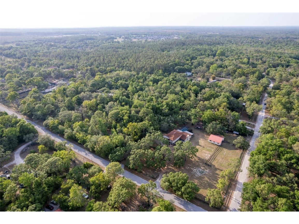 12311 Oakwood Drive Hudson FL 34669 TB8384501 image76