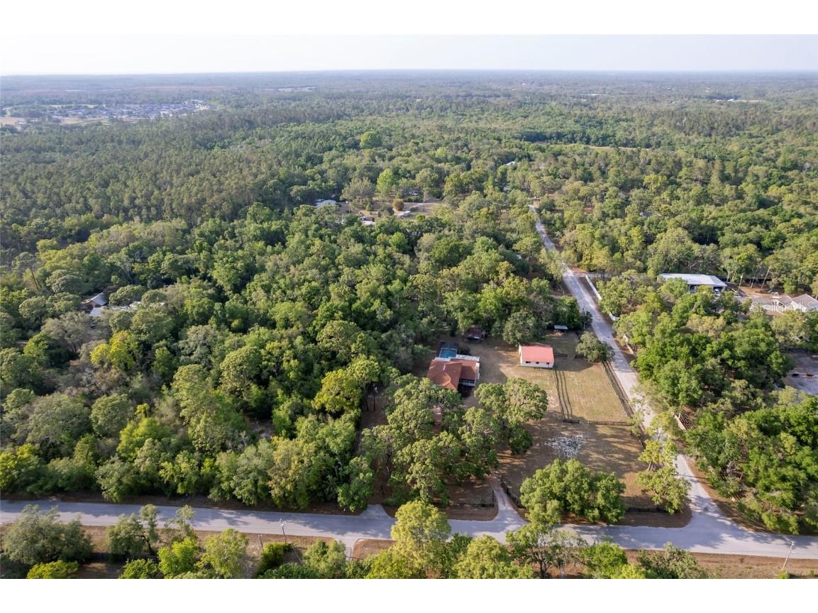 12311 Oakwood Drive Hudson FL 34669 TB8384501 image77