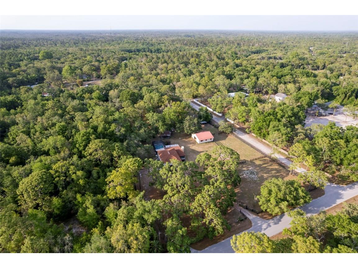 12311 Oakwood Drive Hudson FL 34669 TB8384501 image78