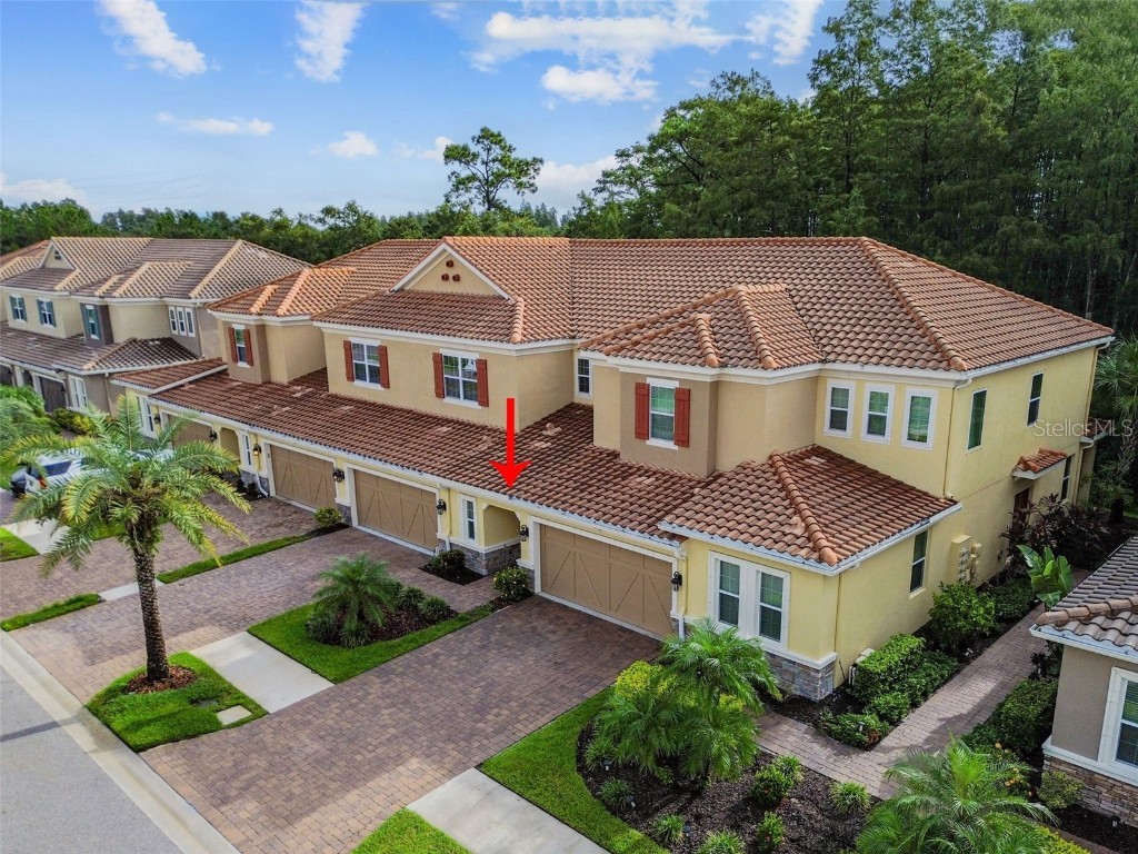 12311 Terracina Chase Court Tampa FL 33625 TB8300283 image1