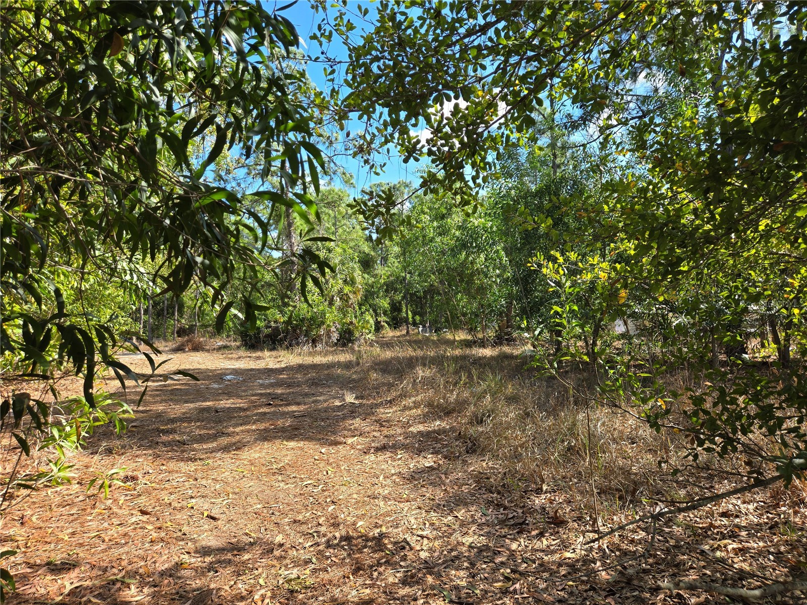 12312 Green Gulf Boulevard Punta Gorda FL 33955 A4680029 image1