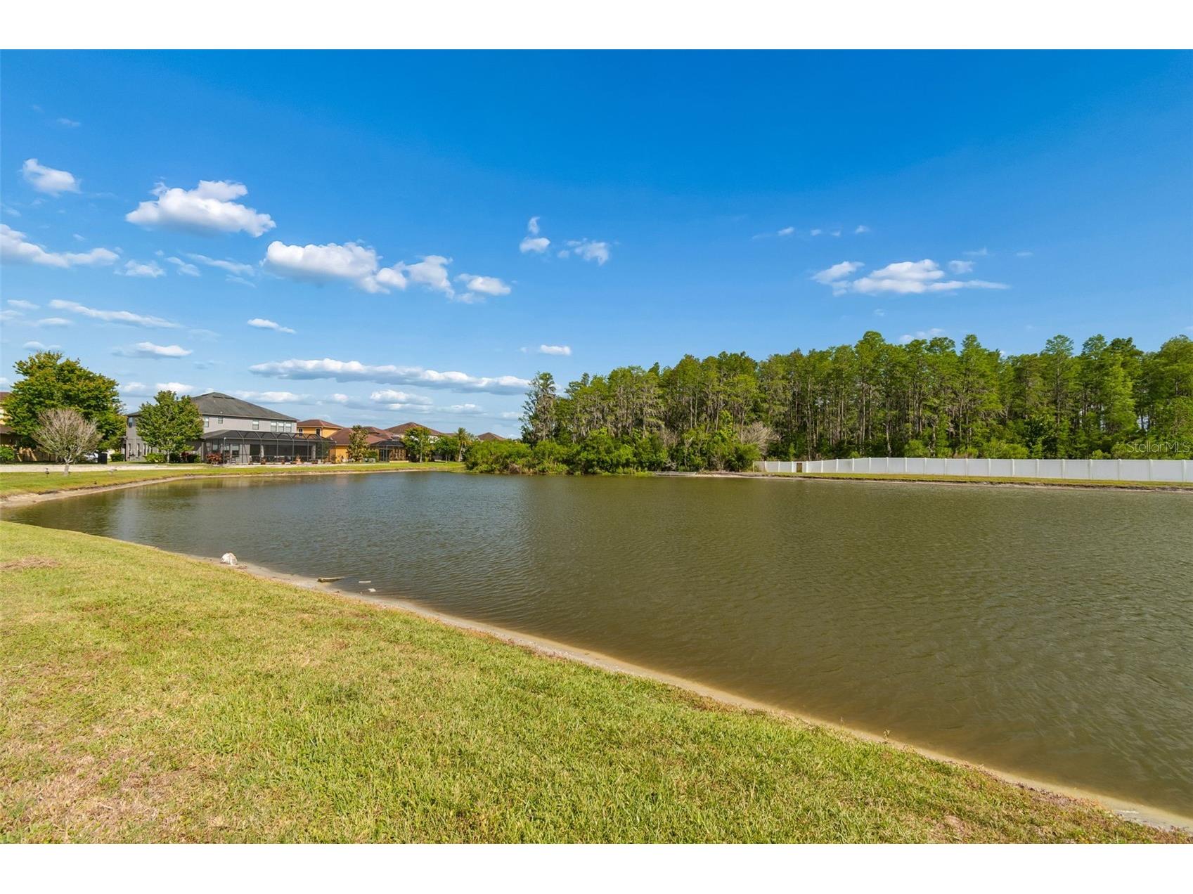 12312 Lake Blvd New Port Richey FL 34655 TB8500091 image30