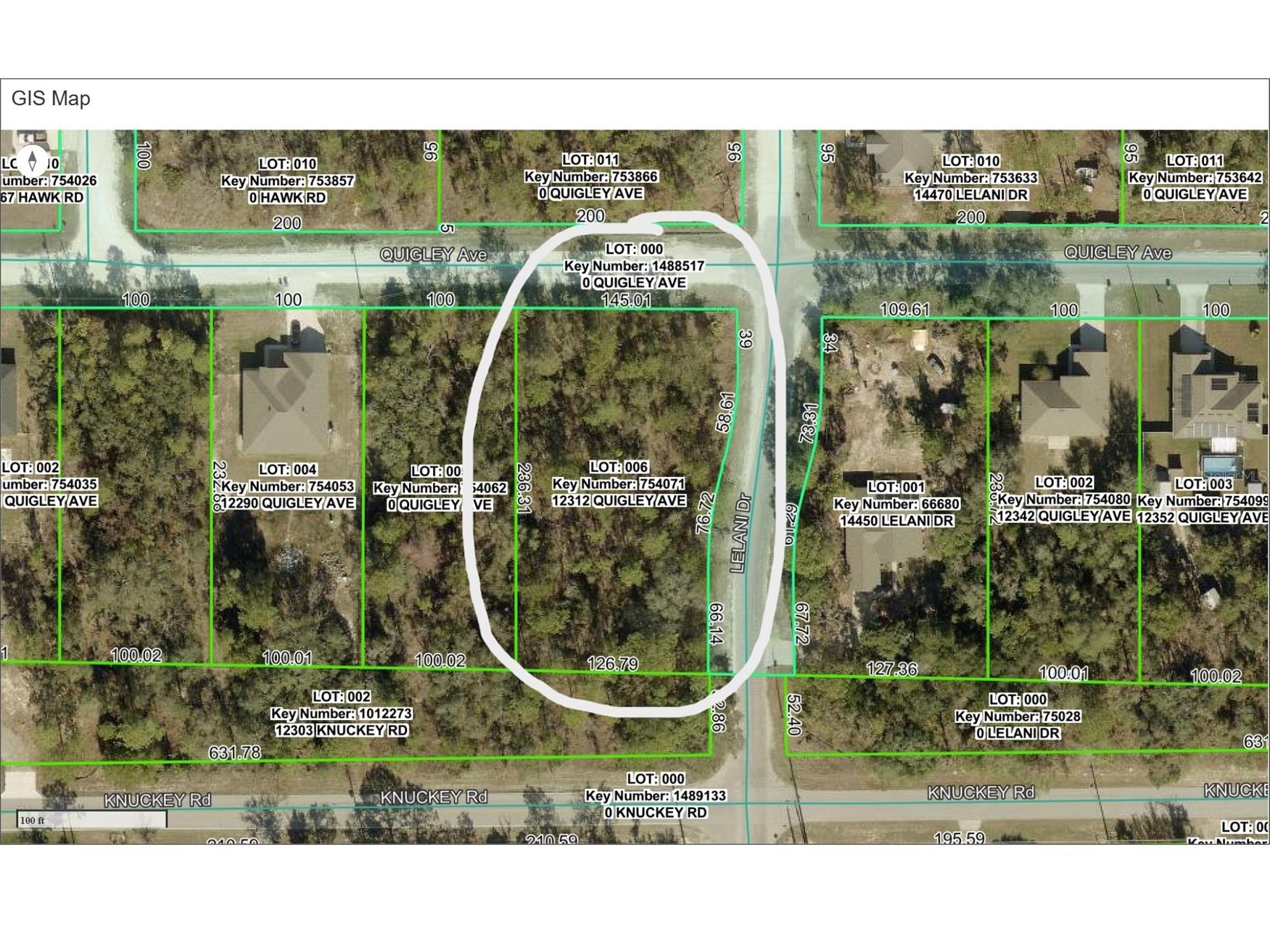 12312 Quigley Avenue Brooksville FL 34614 OM720761 image5