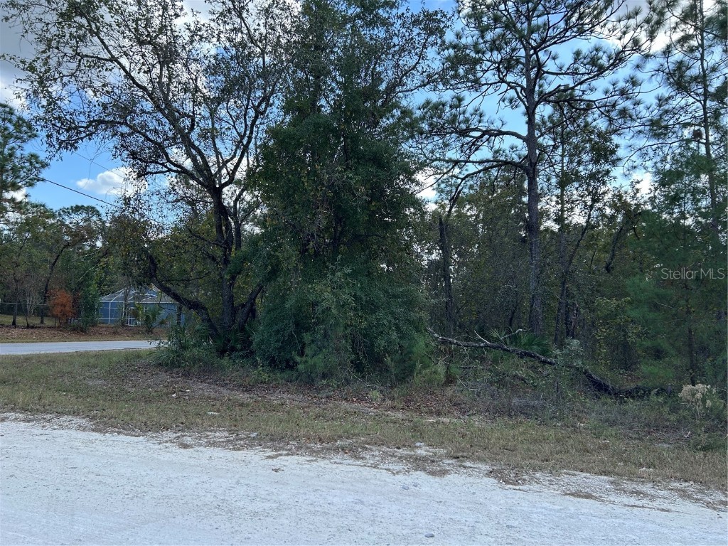 12312 Quigley Avenue Brooksville FL 34614 W7869902 image1