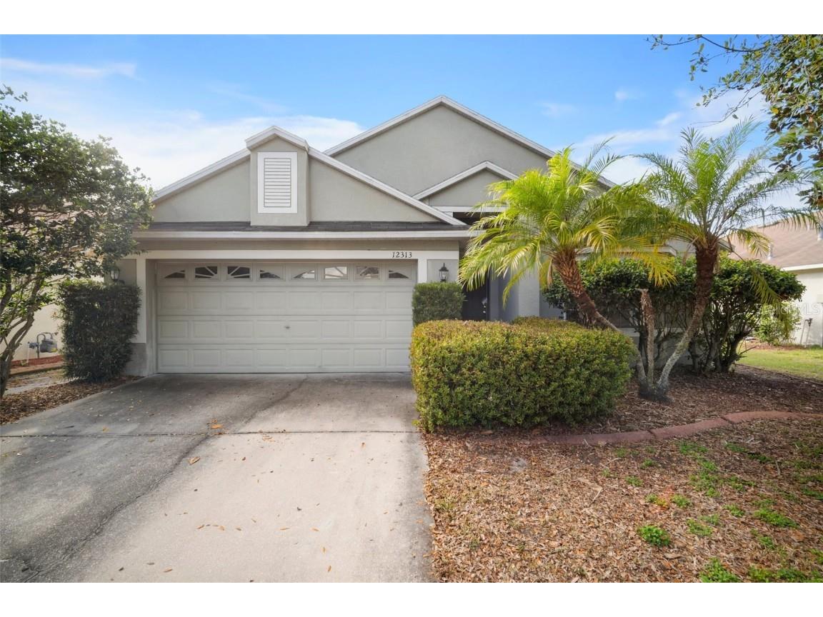 12313 Adventure Drive Riverview FL 33579 - UNNAMED RETENTION POND T3426102 image1