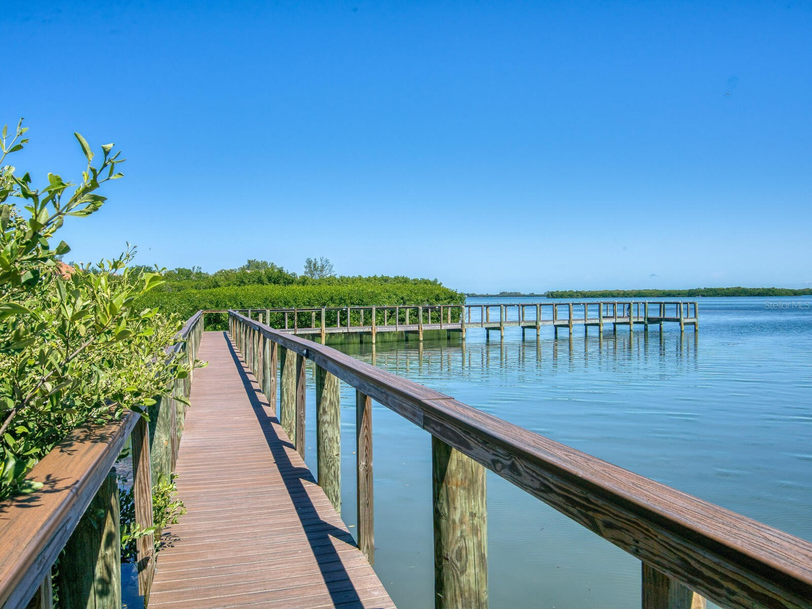 12313 Baypointe Terrace Cortez FL 34215 A4677089 image52
