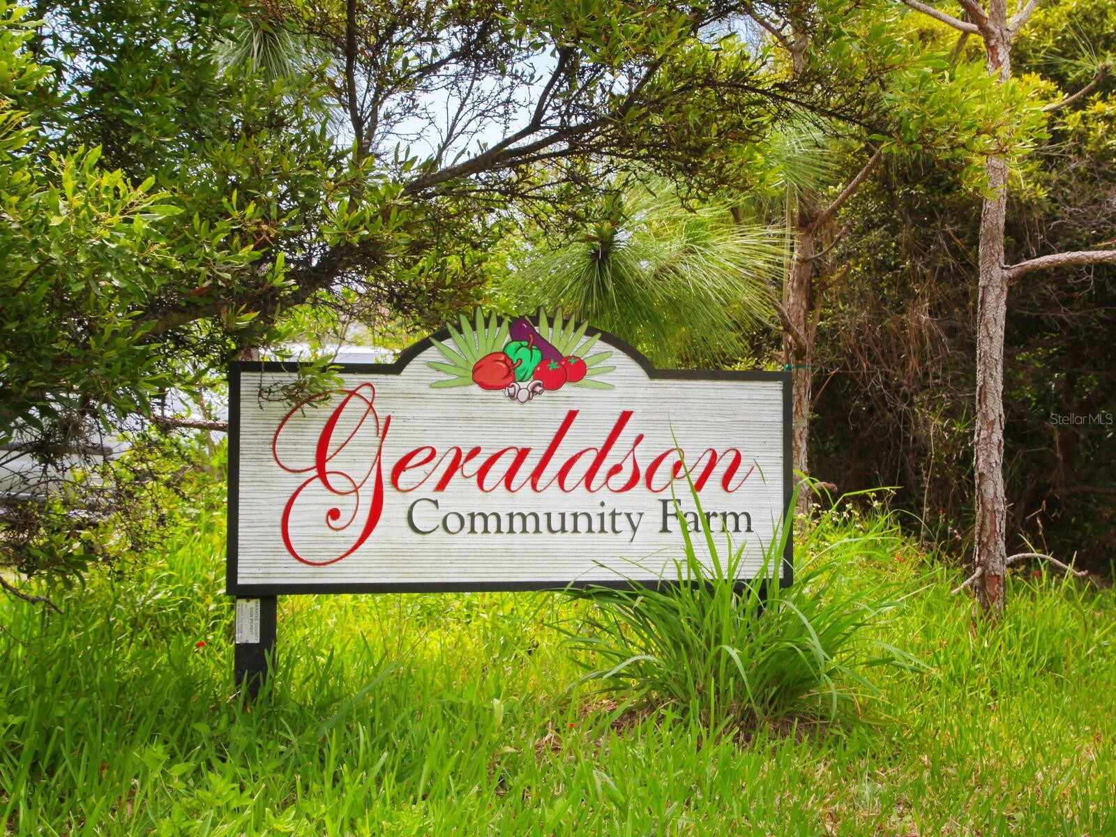 12313 Baypointe Terrace Cortez FL 34215 A4677089 image63