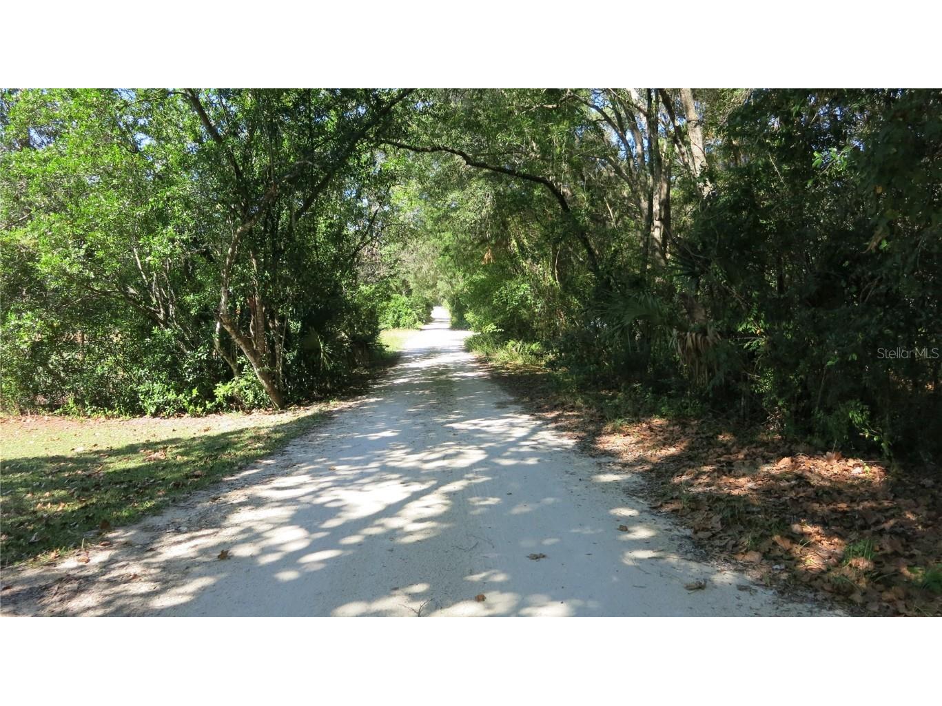 12313 N Elf Point Dunnellon FL 34433 OM711336 image1