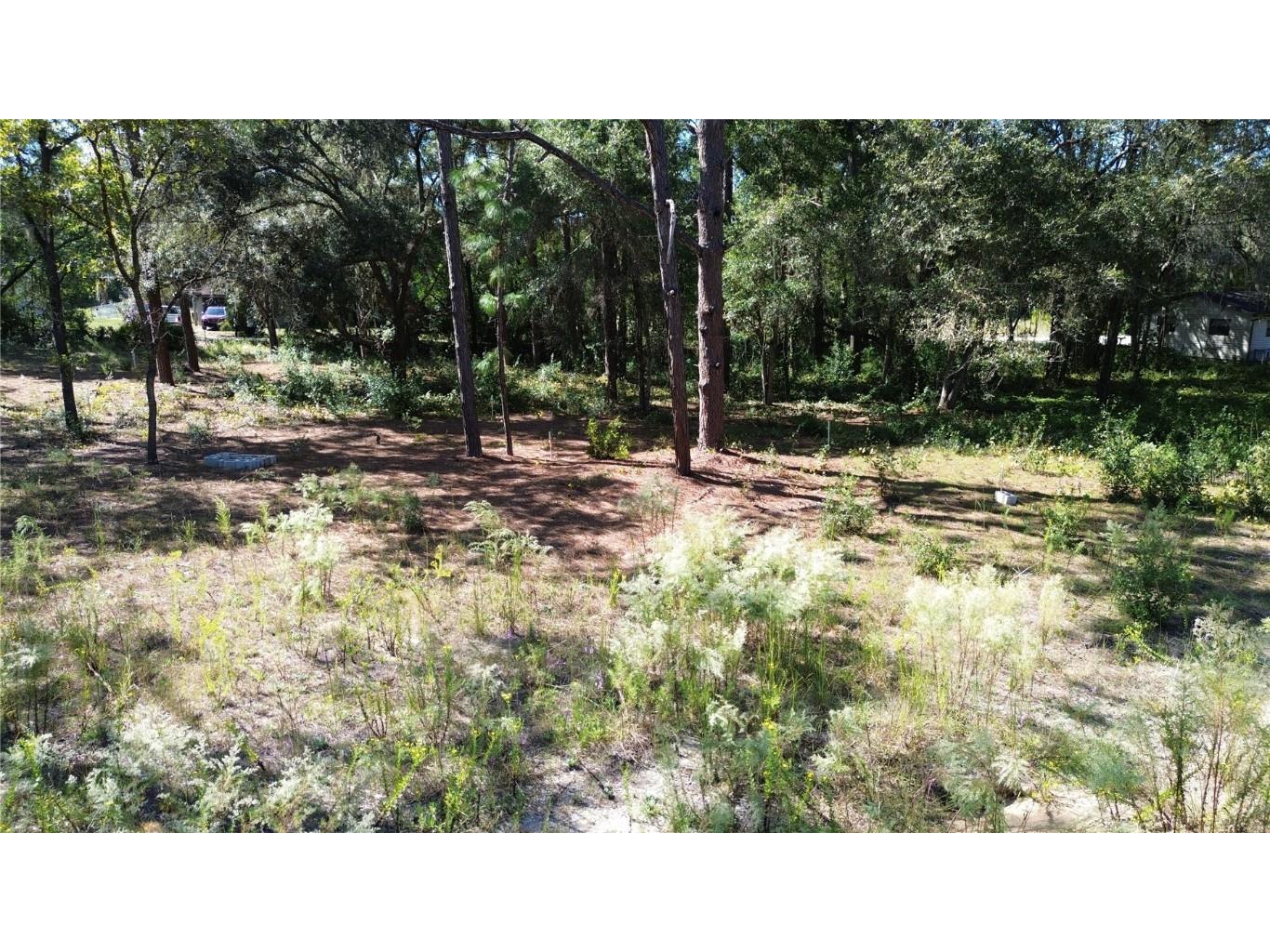 12313 N Elf Point Dunnellon FL 34433 OM711336 image10