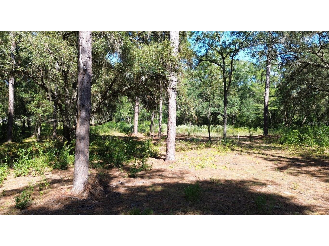 12313 N Elf Point Dunnellon FL 34433 OM711336 image12