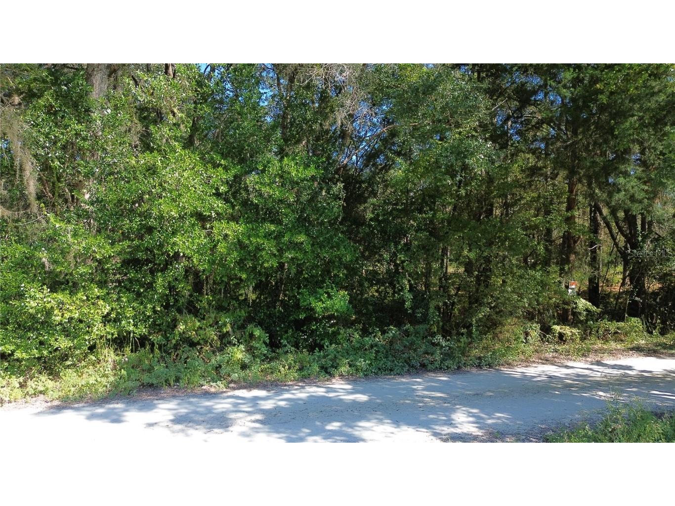 12313 N Elf Point Dunnellon FL 34433 OM711336 image13