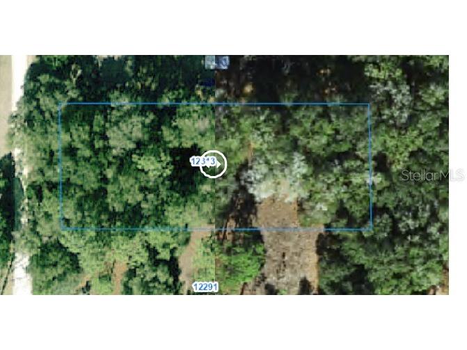 12313 N Elf Point Dunnellon FL 34433 OM711336 image14