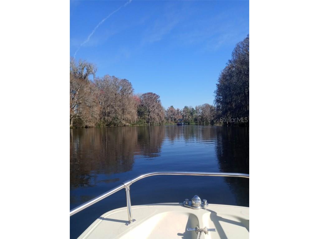 12313 N Elf Point Dunnellon FL 34433 OM711336 image5