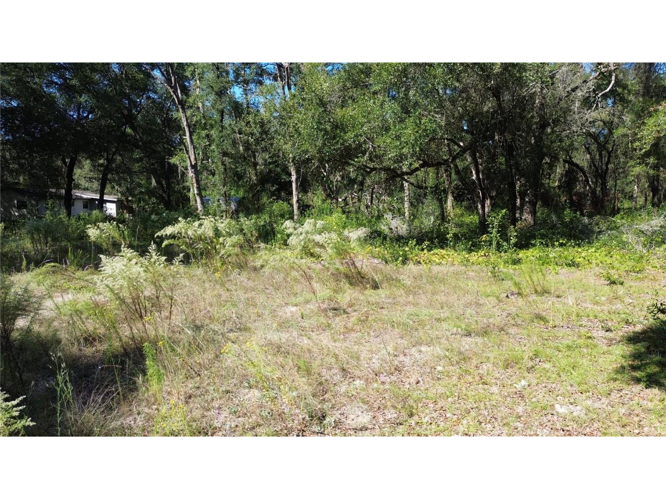 12313 N Elf Point Dunnellon FL 34433 OM711336 image8