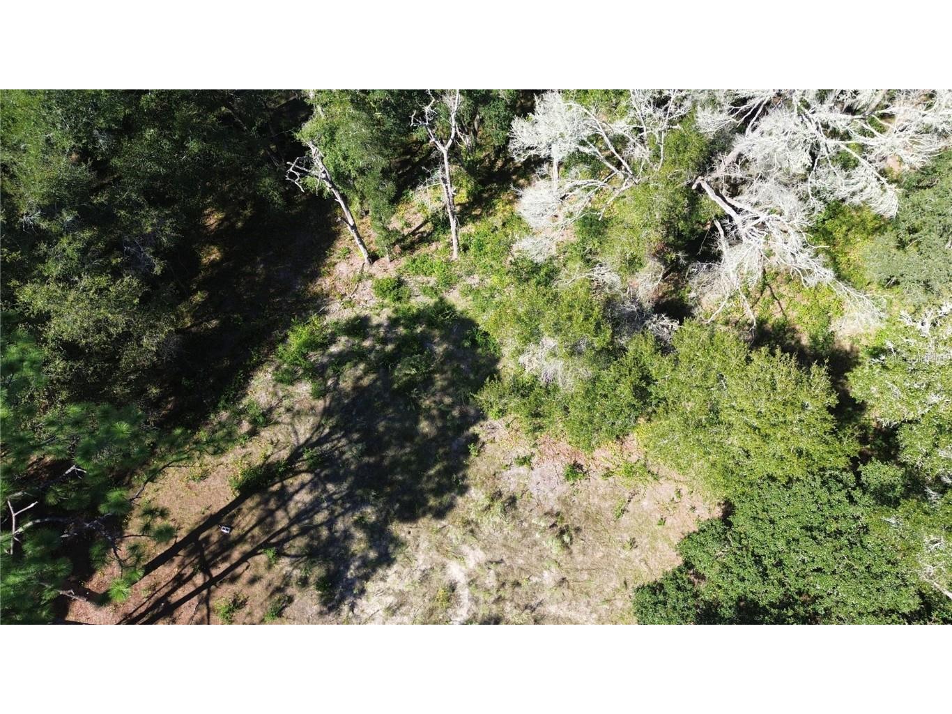 12313 N Elf Point Dunnellon FL 34433 OM711336 image9