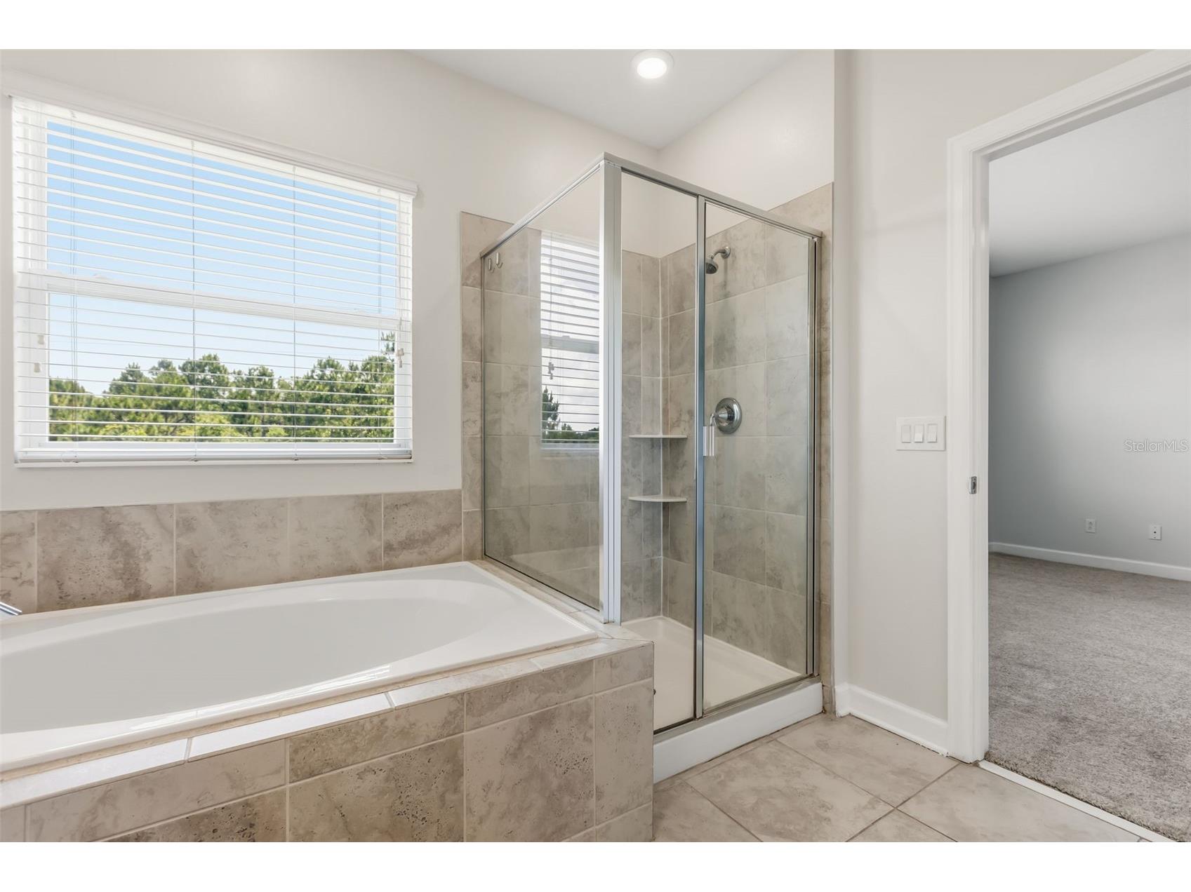 12313 Turtle Grass Drive Orlando FL 32824 O6408046 image22