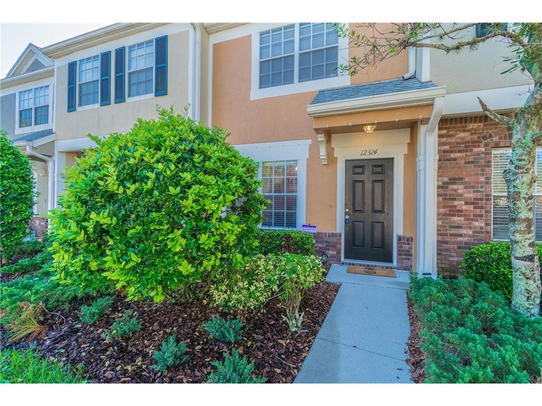 12314 Berkeley Square Drive Tampa FL 33626 T3453166 image1