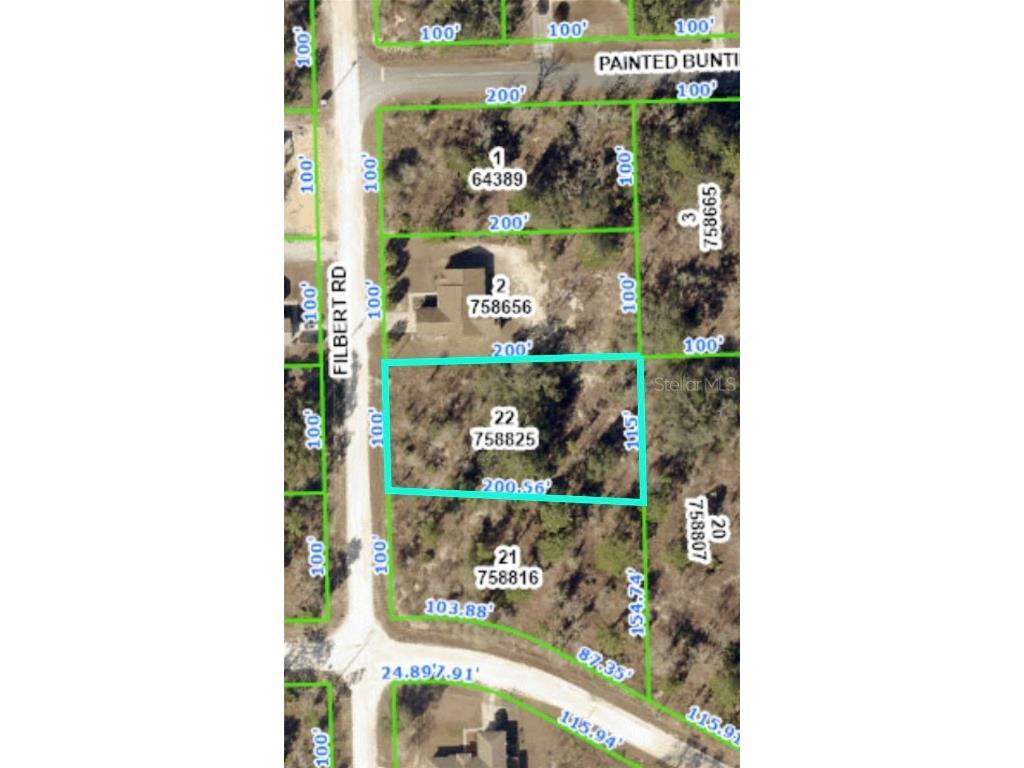 12314 Filbert Road Weeki Wachee FL 34614 W7856201 image1