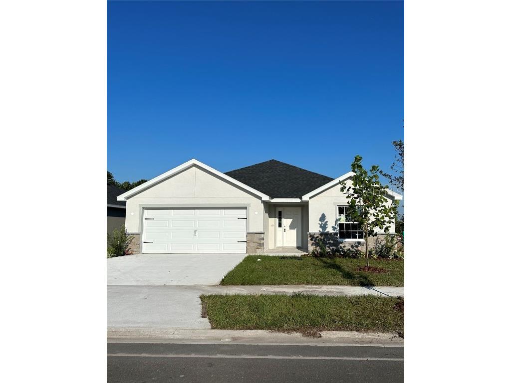 12314 Terrace Bluff Street Riverview FL 33579 J968868 image1