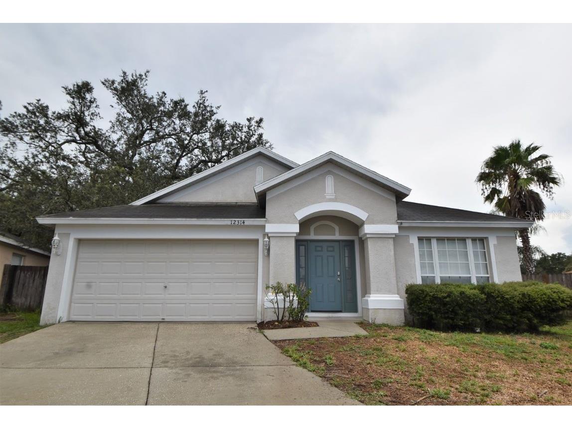 12314 Twinkling Star Place Riverview FL 33578 T3466431 image1