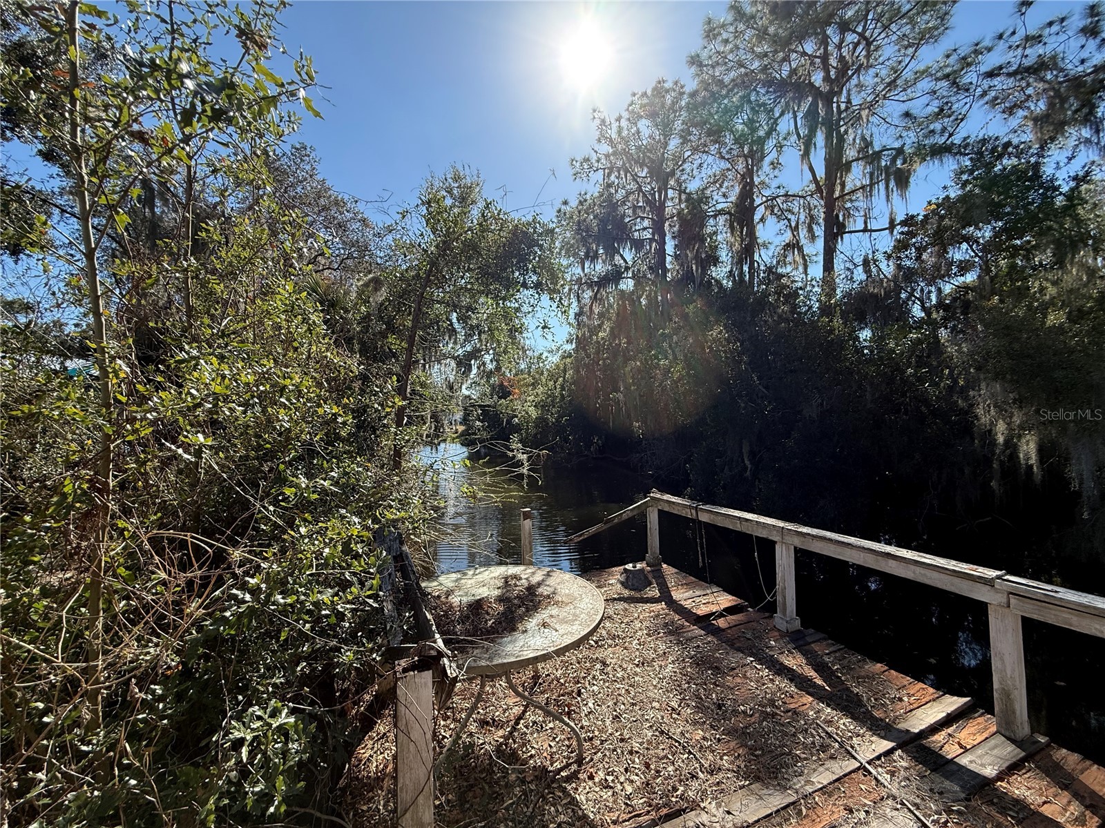 12314 Virginia Drive Leesburg FL 34788 - LAKE EUSTIS G5107775 image16