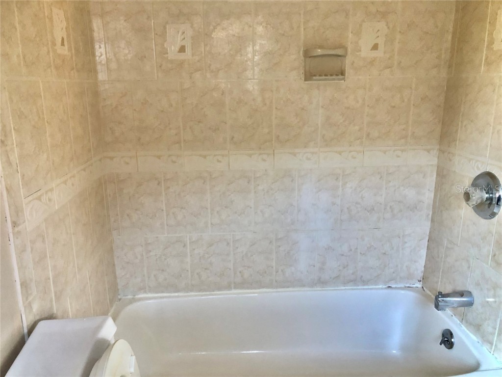 12314 Virginia Drive Leesburg FL 34788 O6281571 image33