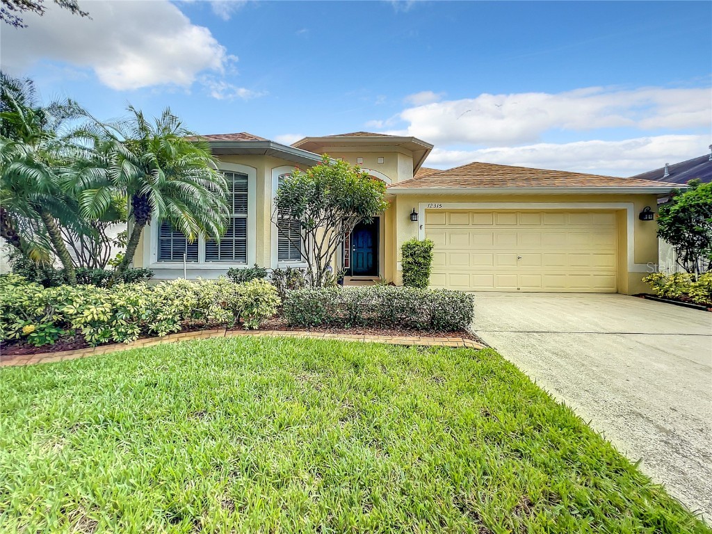 12315 Adventure Drive Riverview FL 33579 T3469768 image1