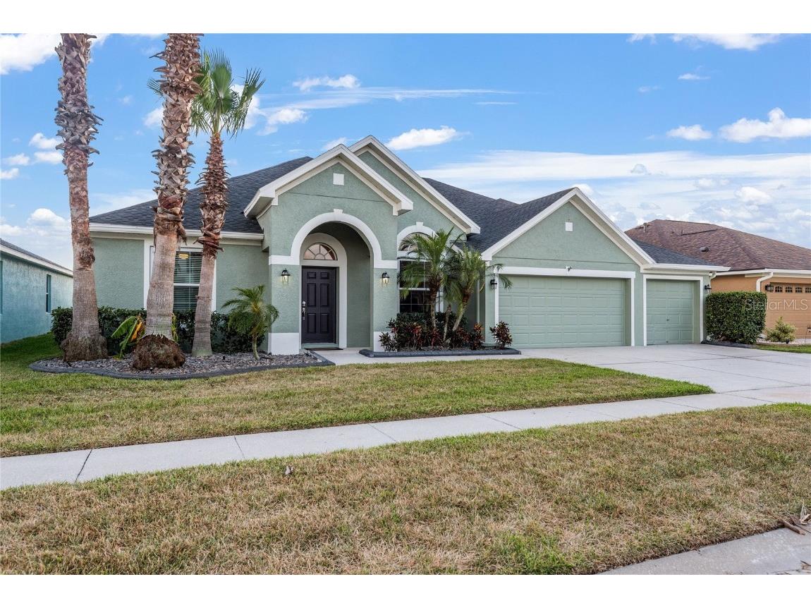 12315 Silton Peace Drive Riverview FL 33579 T3523798 image1