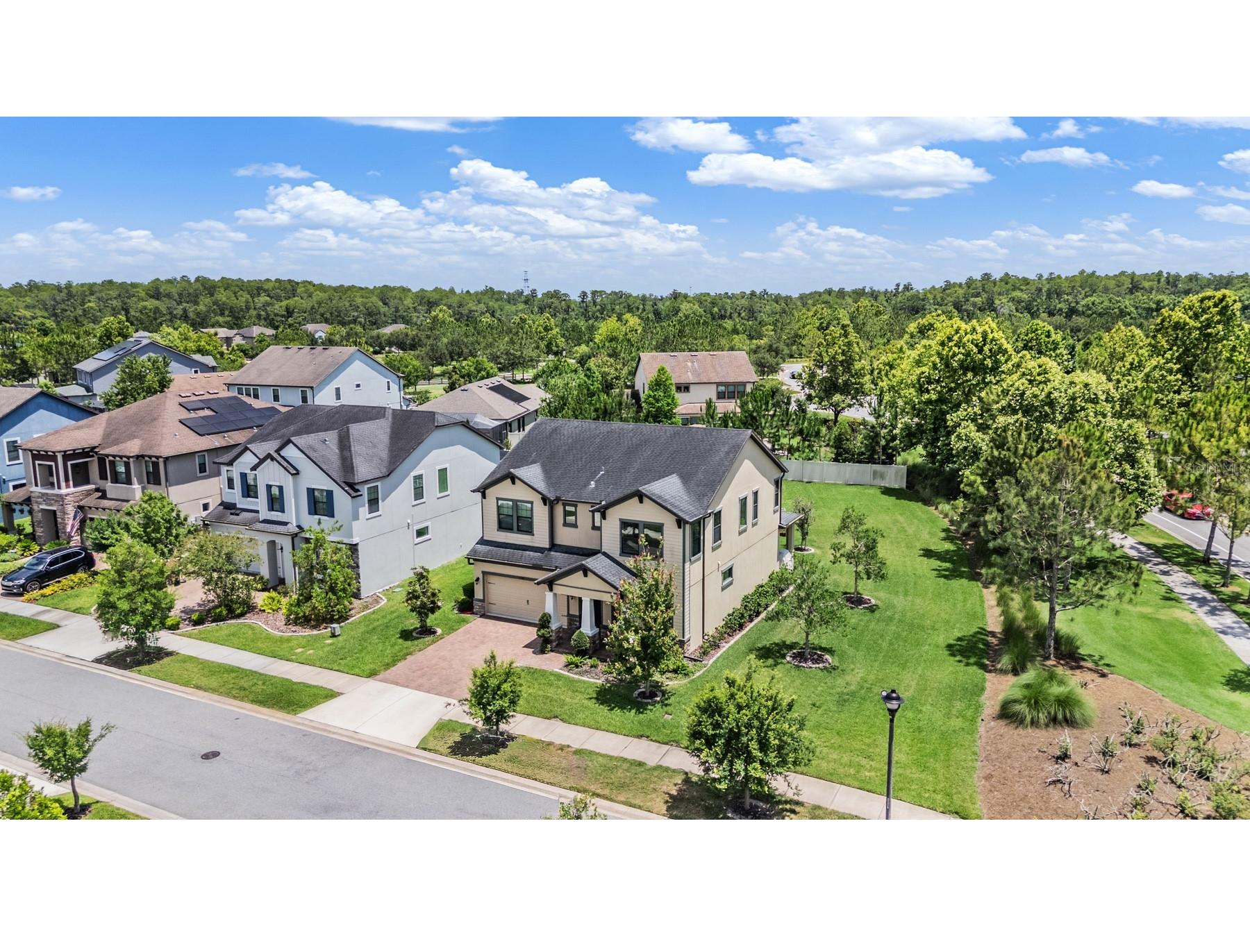 12316 Fitzroy Street Odessa FL 33556 TB8513715 image3