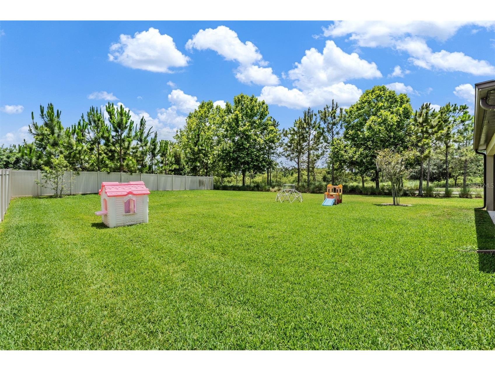12316 Fitzroy Street Odessa FL 33556 TB8513715 image32
