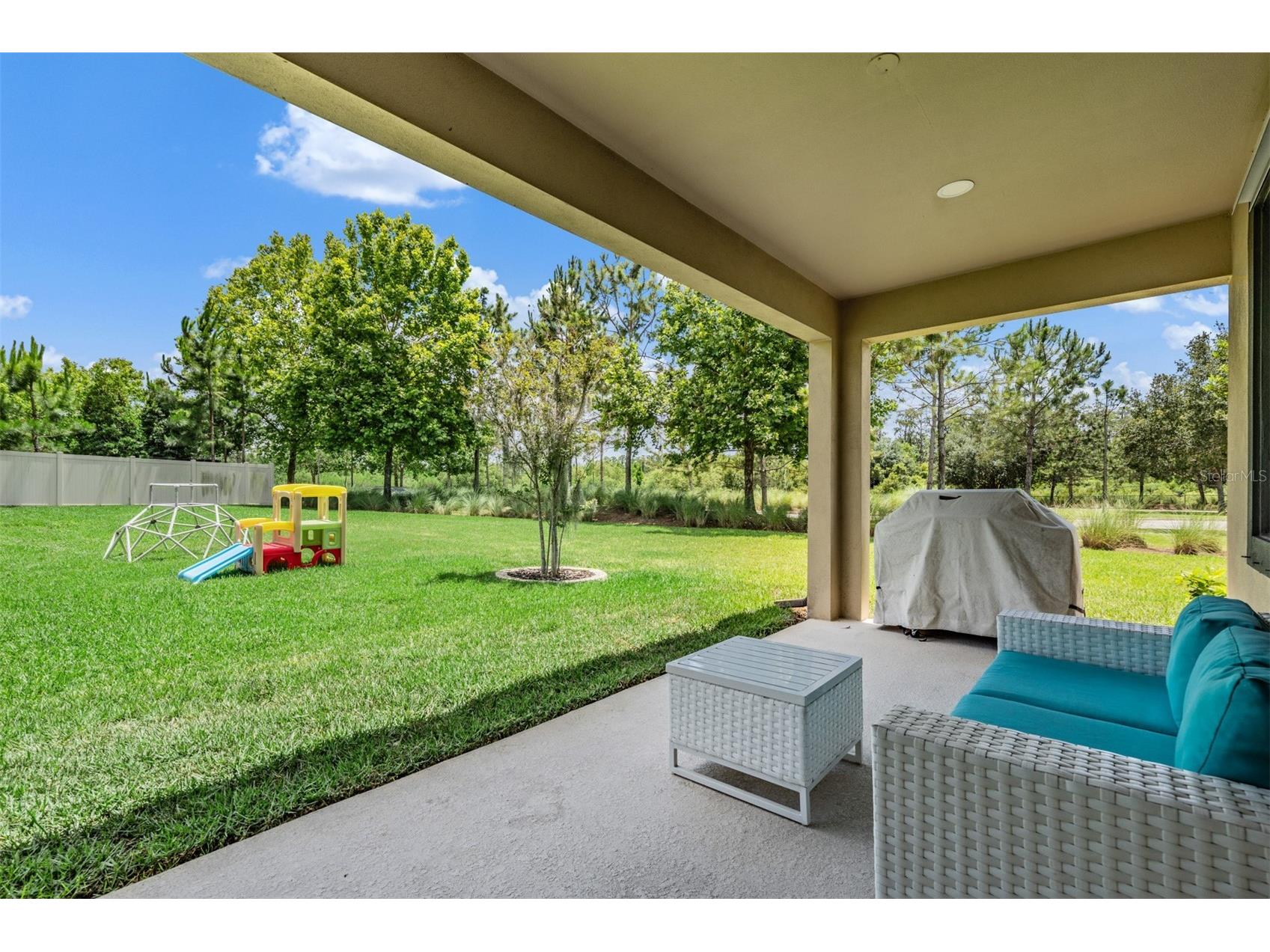 12316 Fitzroy Street Odessa FL 33556 TB8513715 image33