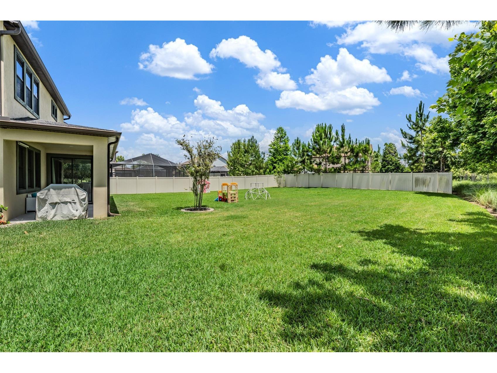 12316 Fitzroy Street Odessa FL 33556 TB8513715 image35