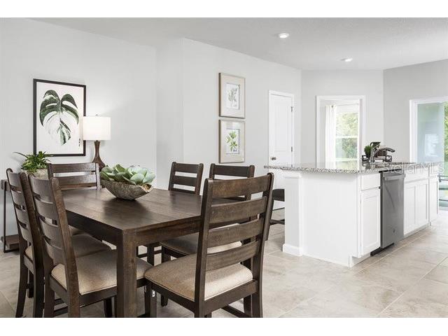 12316 Grizzly Lane New Port Richey FL 34654 TB8477508 image5