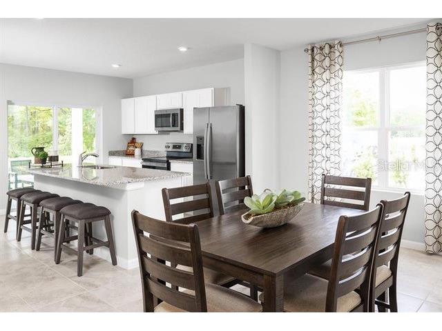 12316 Grizzly Lane New Port Richey FL 34654 TB8477508 image8