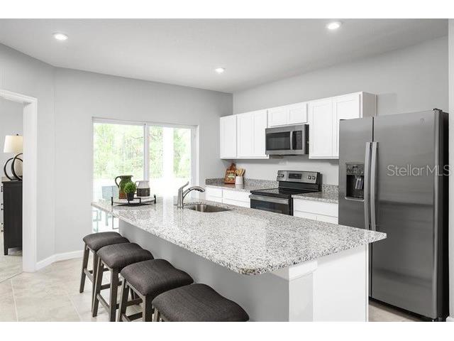 12316 Grizzly Lane New Port Richey FL 34654 TB8477508 image9