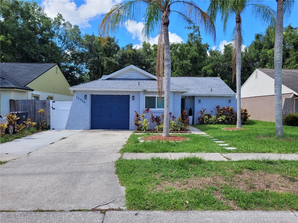 12316 Witheridge Drive Tampa FL 33624 T3537566 image1