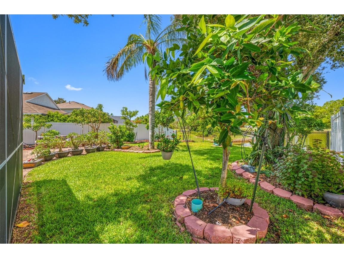 12317 Adventure Drive Riverview FL 33579 TB8421836 image10