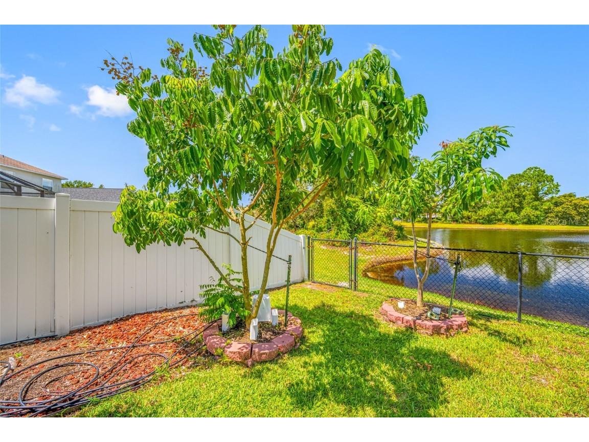 12317 Adventure Drive Riverview FL 33579 TB8421836 image11