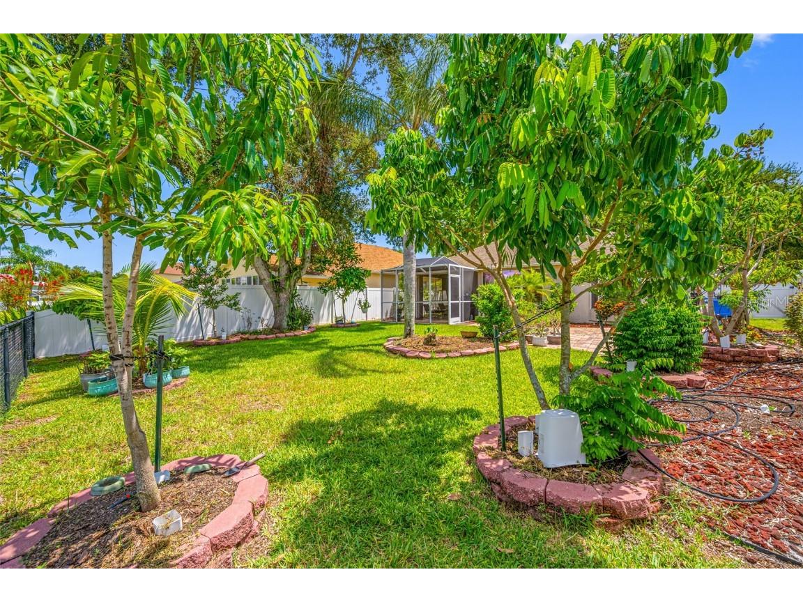 12317 Adventure Drive Riverview FL 33579 TB8421836 image12