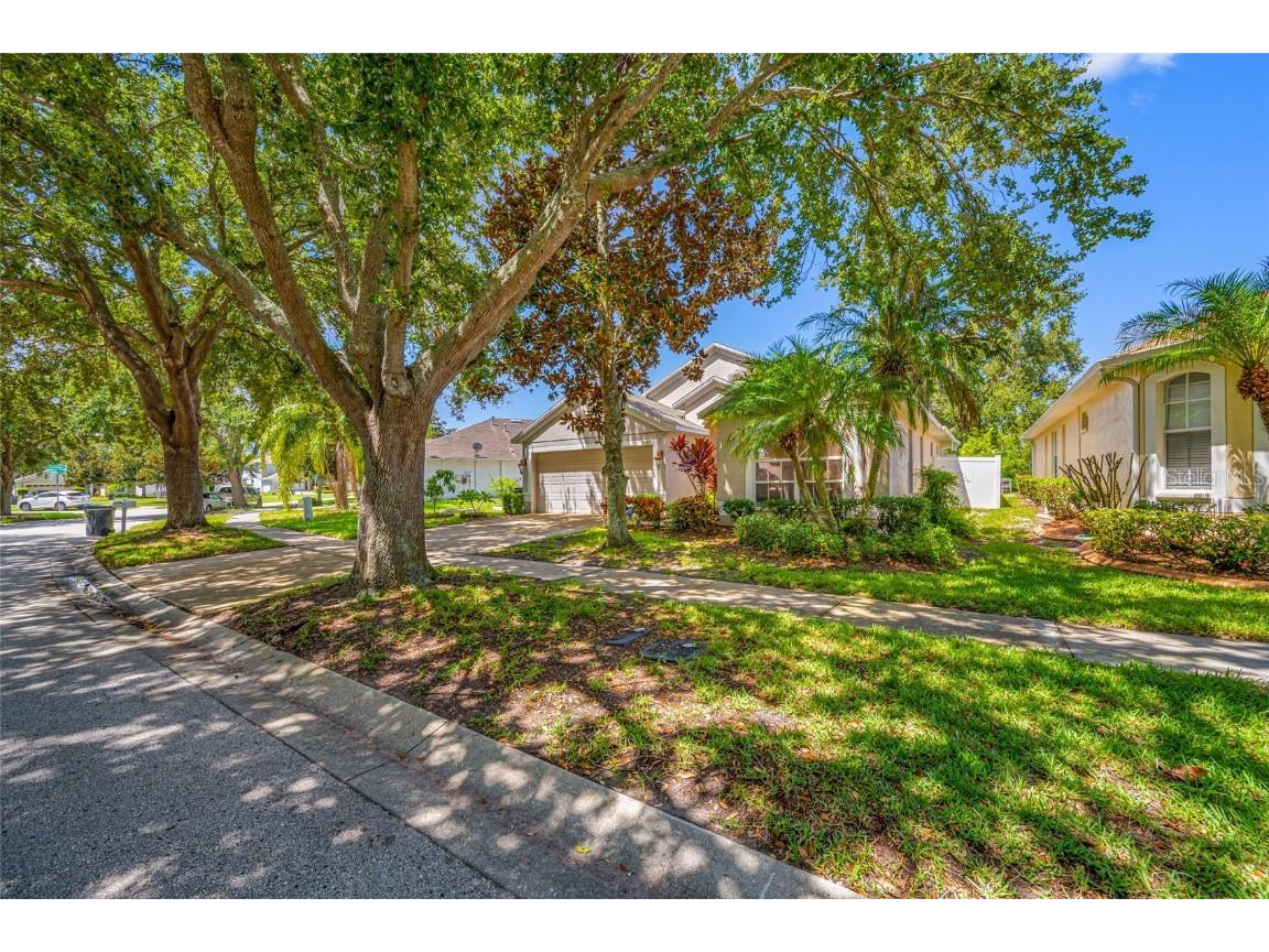 12317 Adventure Drive Riverview FL 33579 TB8421836 image17