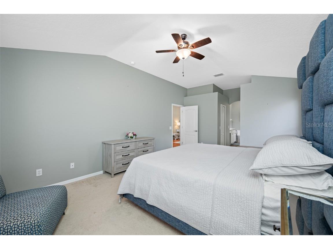 12317 Adventure Drive Riverview FL 33579 TB8421836 image47