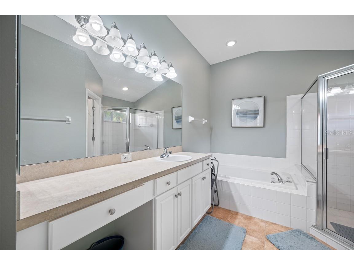 12317 Adventure Drive Riverview FL 33579 TB8421836 image50