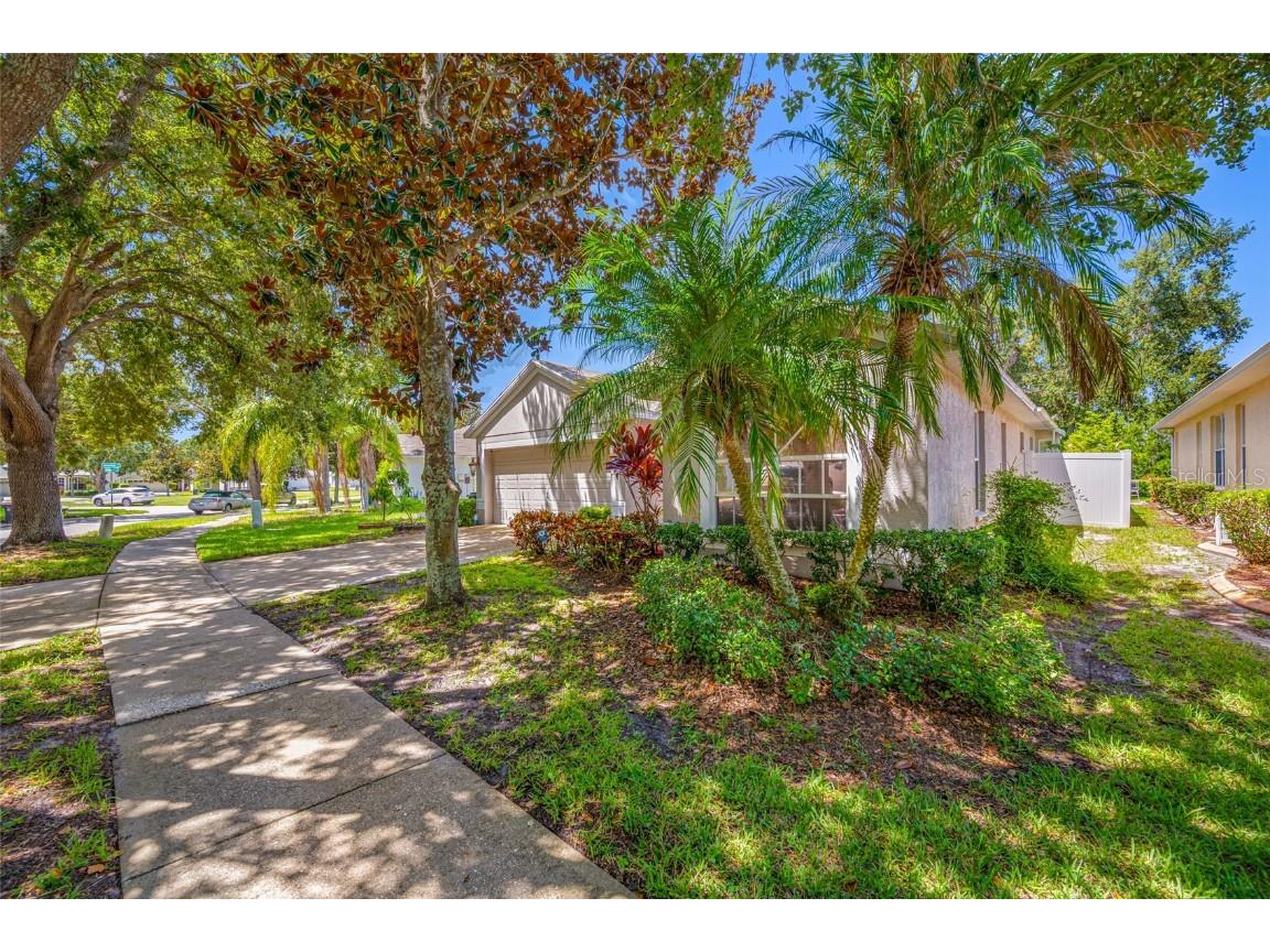 12317 Adventure Drive Riverview FL 33579 TB8421836 image58
