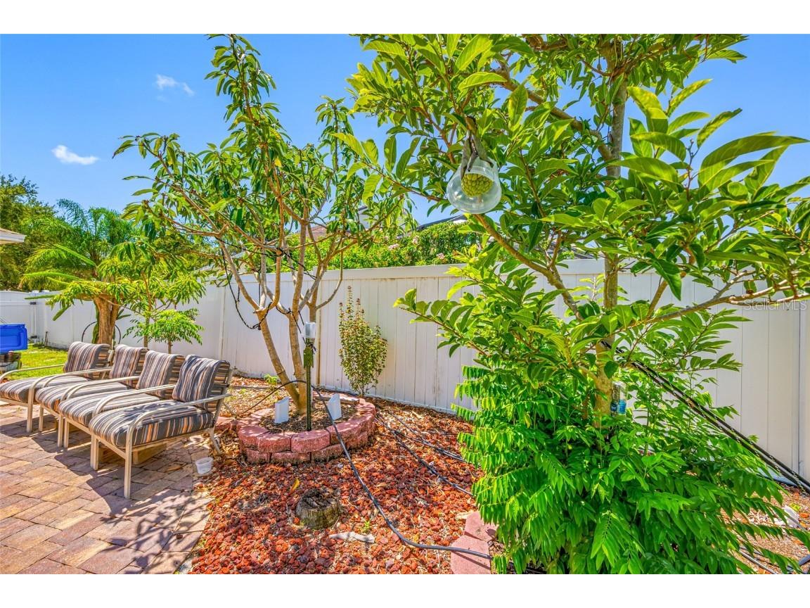 12317 Adventure Drive Riverview FL 33579 TB8421836 image8