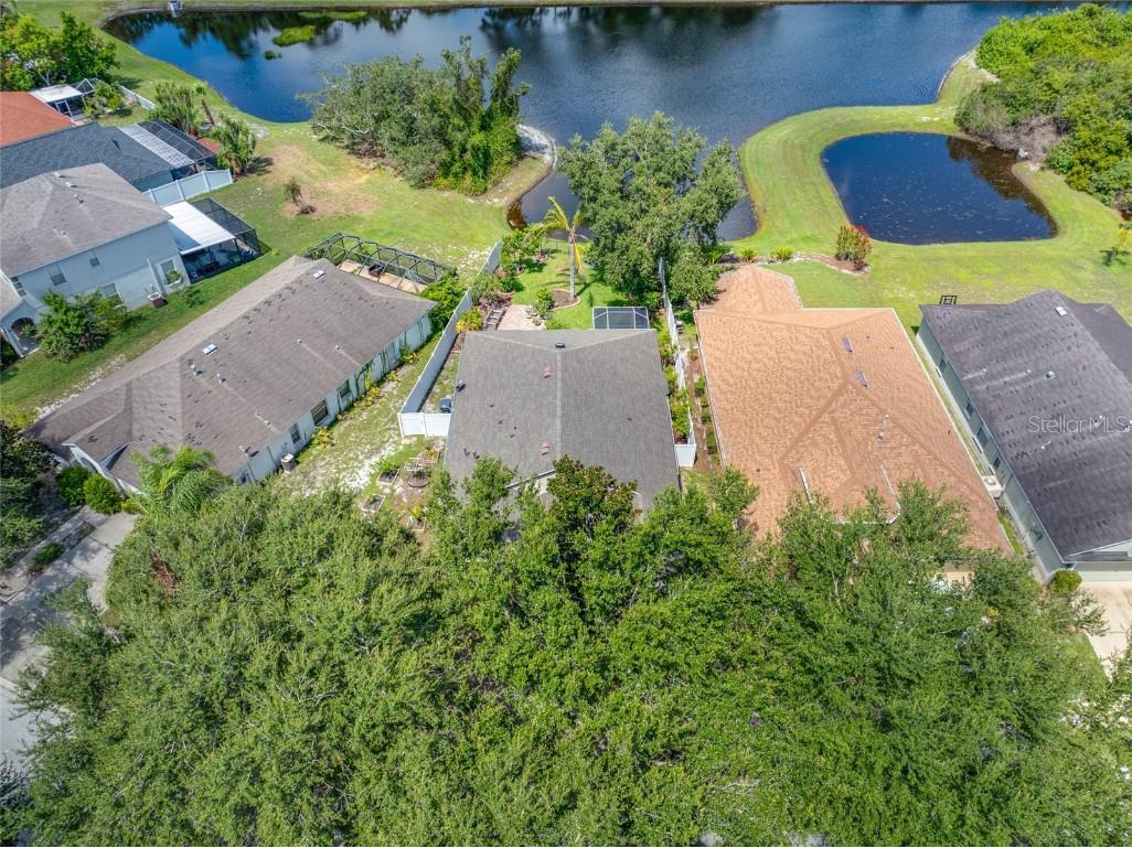 12317 Adventure Drive Riverview FL 33579 TB8421836 image81