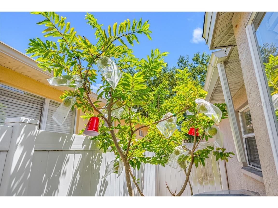 12317 Adventure Drive Riverview FL 33579 TB8421836 image9